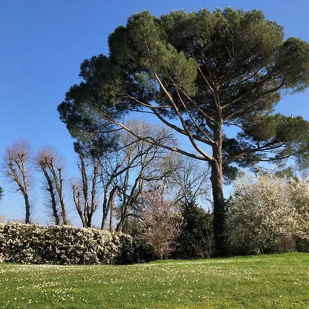 La A Chateau Franc Daut Appartamento Saint-Magne-de-Castillon